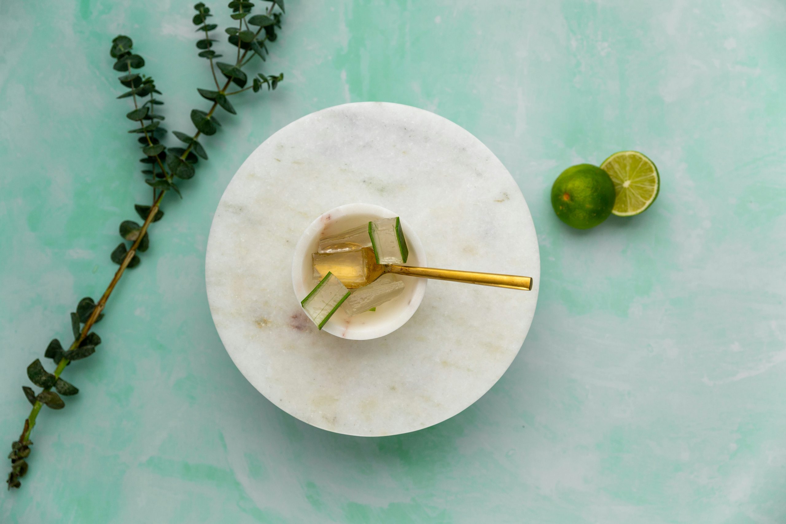 mia-stern-eaB4XT6lOjY-unsplash Aloe vera