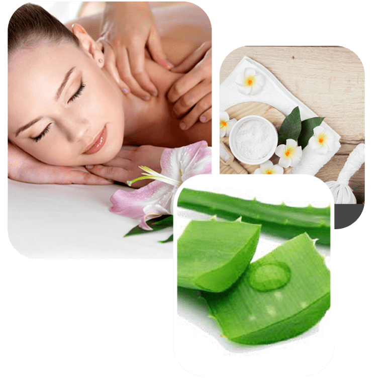 aloe vera