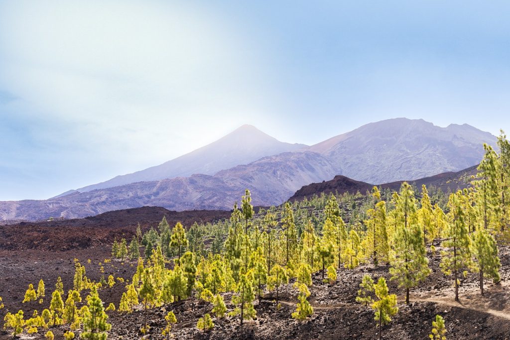 el teide